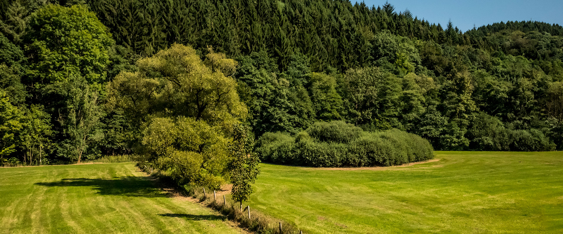 footer-Landschaft-naehe-Hohenstein-